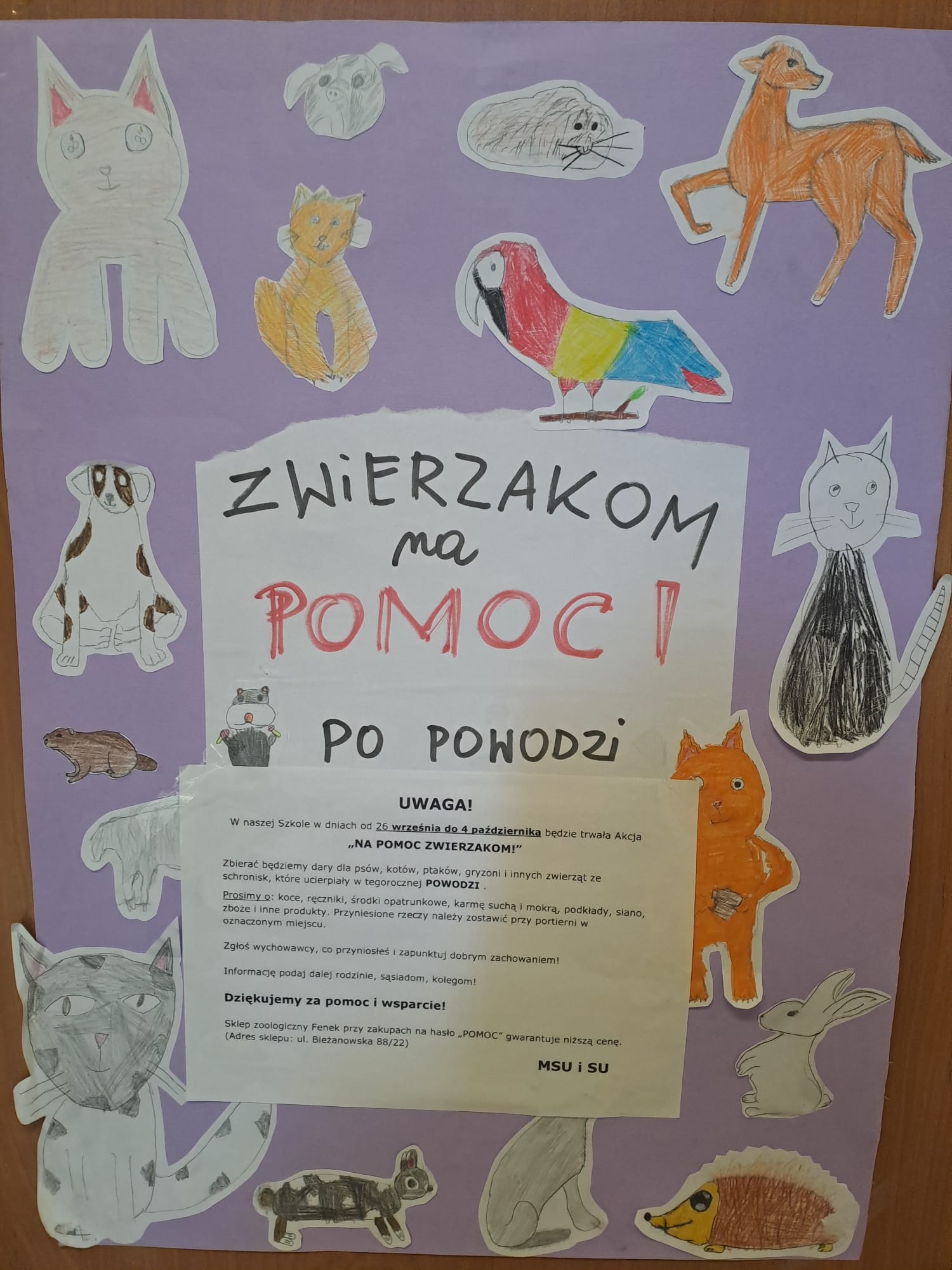 Zwierzakom na pomoc